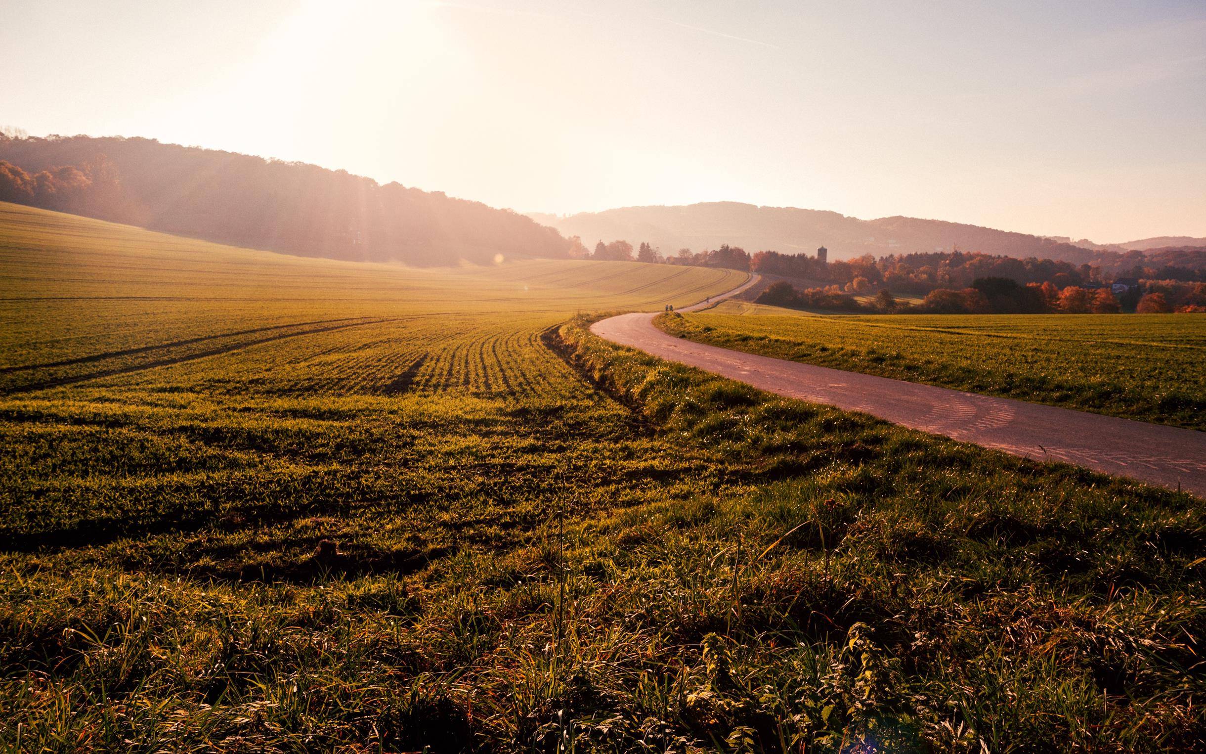 field-1246620.jpg